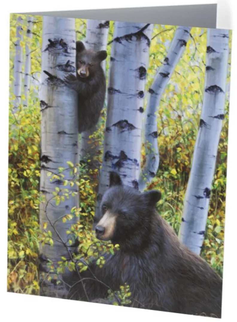 Bear of Montana Note Cards