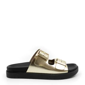 Confetti Gold Buckle Clog