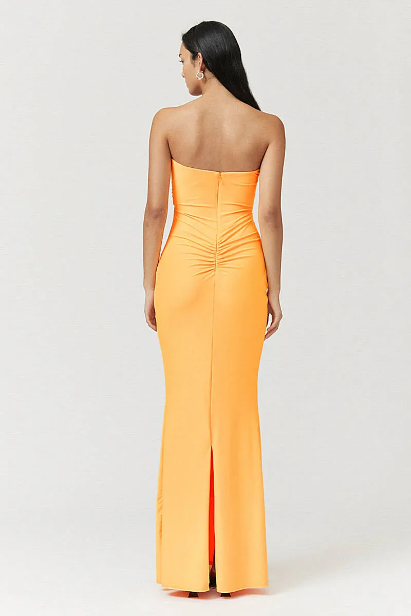 Ivy Bustier Maxi Dress