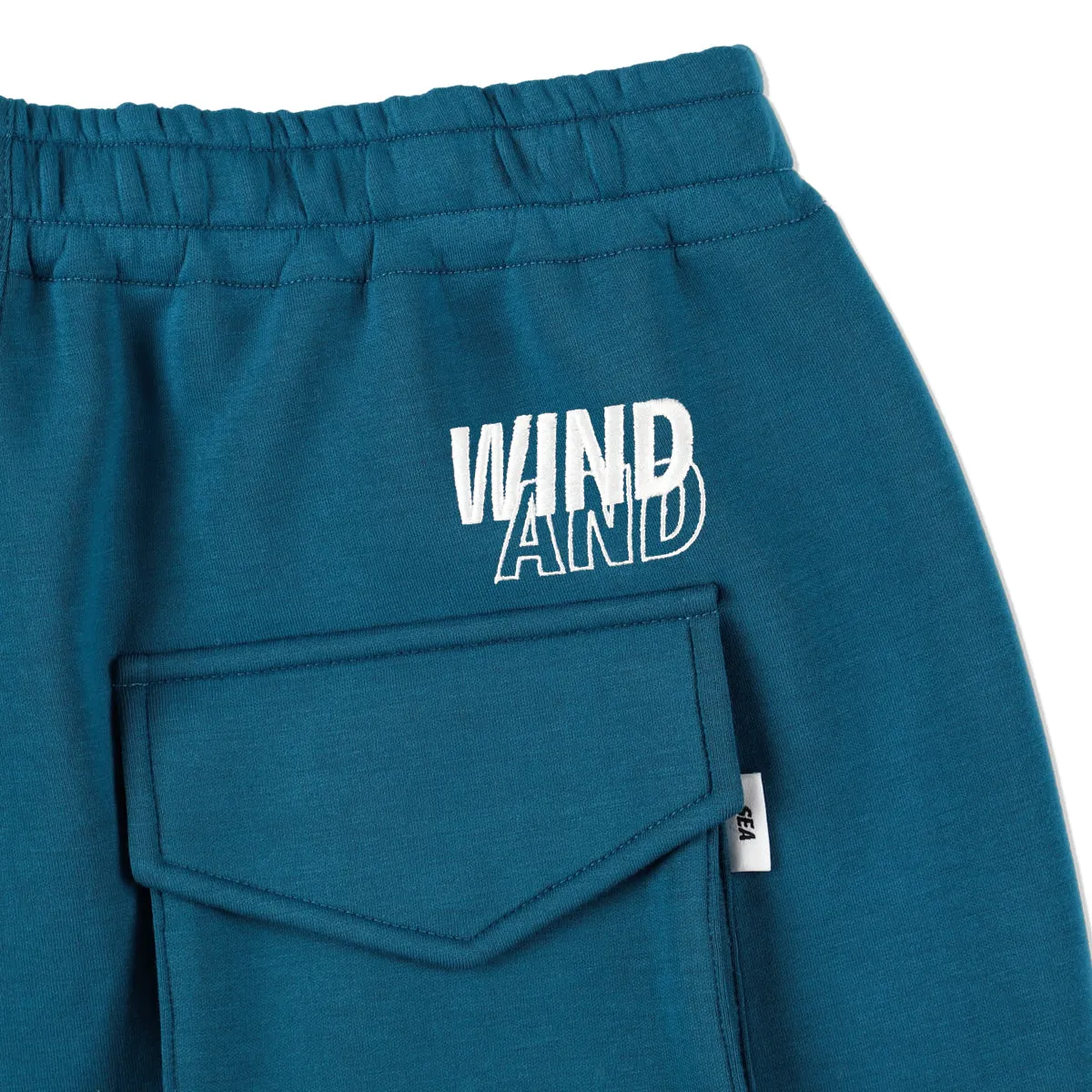 WDS-ES CARDBOARD CARGO SHORT / SEA_BLUE