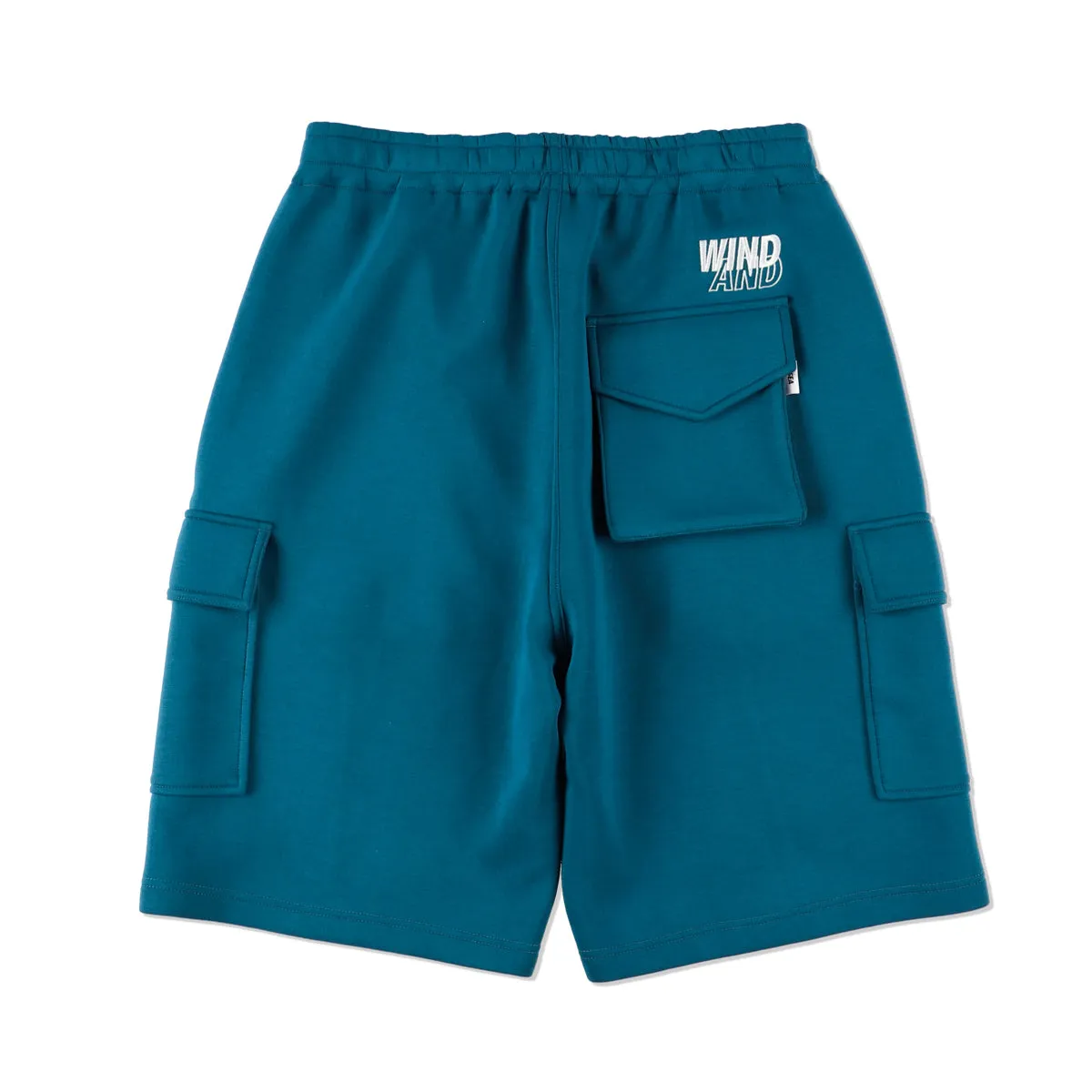 WDS-ES CARDBOARD CARGO SHORT / SEA_BLUE