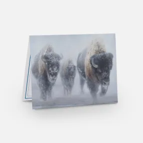 Western Wildlife Note Cards